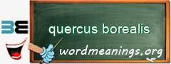 WordMeaning blackboard for quercus borealis